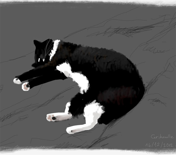 cat Speedpaint gribouille